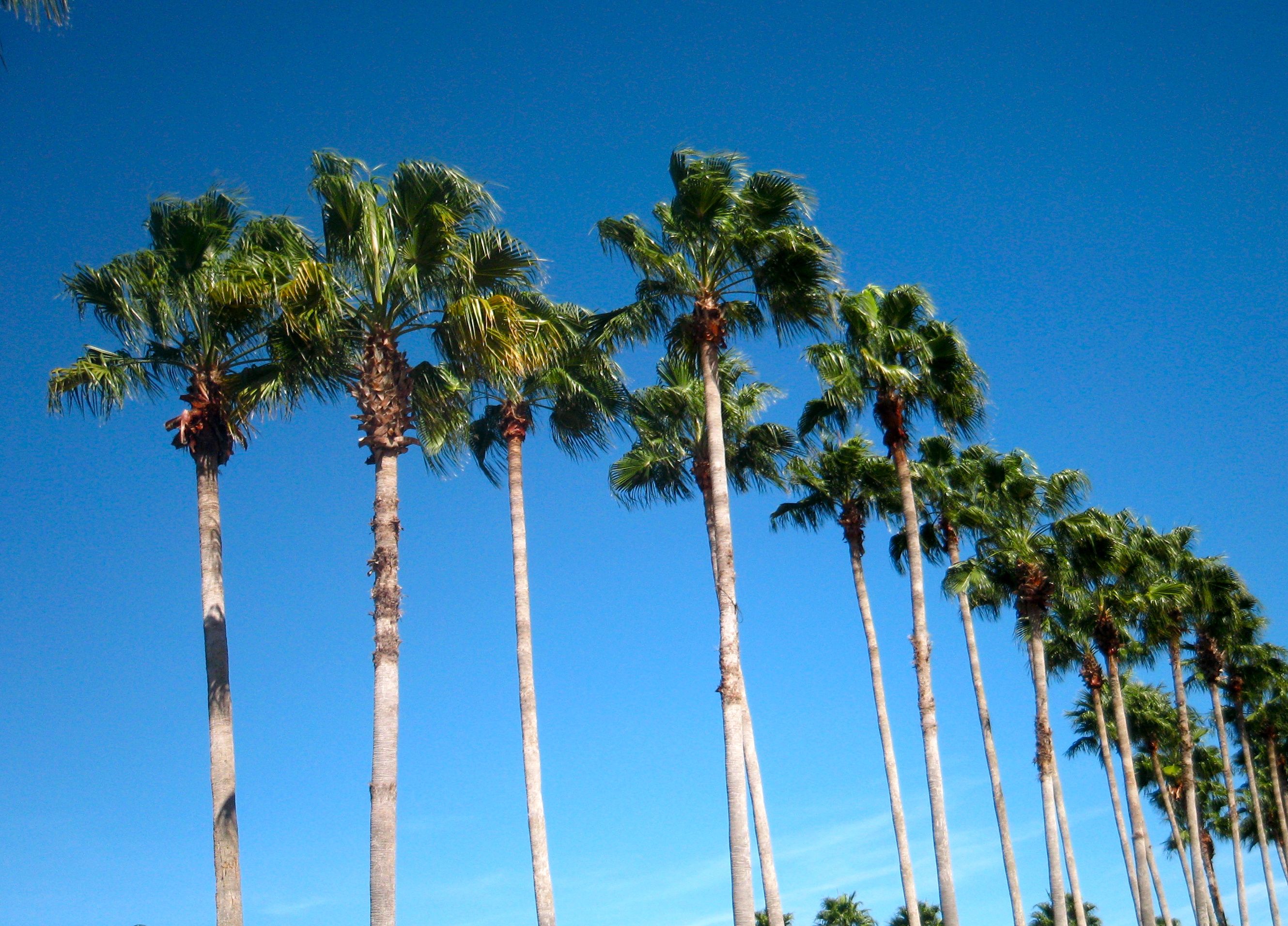 California Delta waterways